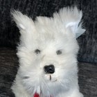 Russ Caresse Soft Pets White West Highland Terrier Plush 10    Stuffed Dog W  Tags