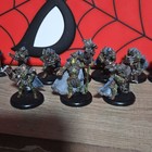 Reeve Of Orboros Unit And Chieftain   Standard