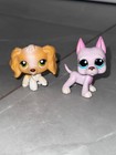 17 Pcs  Main-5 Lot Lps Petshop Authentic Littlest Pet Shop - Hasbro Lps Original