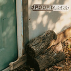 Shore House Brass Sign   Poop Deck Door Plaque  Nautical Ship Boat Beach Small