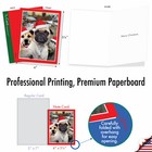 Christmas-holiday Dogs  Funny Assorted Set Of 36 Cards W  Envelopes