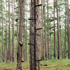 20  Rapid Climbing Sticks Tree Stand Ladder 300 Lbs Cap Cam Buckle Straps Hunt