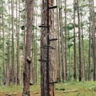 20  Traction Climbing Sticks Tree Stand Ladder 300lbs Cap Cam Buckle Straps Hunt