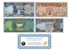 Iraq 5000 1000 500 250 Dinar Banknotes Set Unc  6 750 Iqd Total  New Coa Usa