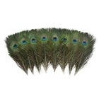 120 Pcs Real Natural Peacock Eye Feathers 10-12 Inch For Diy Craft  Wedding A   