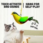 Indoor Interactive Birds Toy For Cat Chasing Teasing Toy Sounding Catnip