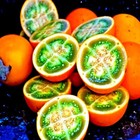 Naranjilla Orange Tree Seeds Solanum Quitoense  lulo Quito  Garden Fruit Plant