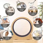 Cat Exercise Wheel Large - 35 4   Wooden Treadmill For Indoor Cats With Low N   