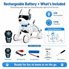 Smart Rc Robot Dog Toy Remote Control Electronic Pet Puppy Gift
