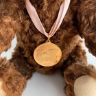 Steiff Bear Of The Year 2005 With Medallion And Tags