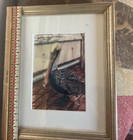 Signed Watercolor   Small Painting         Pelican Bird Nature