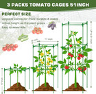 Tomato Cages Square For Garden 3 Packs - Heavy Duty Steel Tomatoes Cage Tall Up 
