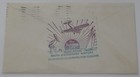Saint Petersburg Florida Airport Dedication February 25 1929 Airmail