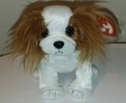 Ty Beanie Baby Regal The King Charles Spaniel Dog  6 Inch  New Mwmts Stuffed Toy