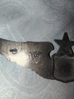Vanguard Wing Badge Usaa 3 Inch
