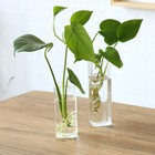 Decorative Wall Vase Glass Flower Container Hanging Air Plant Pots
