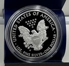 2016 W American Silver Eagle Gem Proof In Plastic Holder No Box