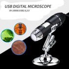 1000x Zoom 8led Hd 1080p Usb Microscope Digital Magnifier Endoscope Video Camera