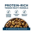 Purina One  plus Dry Dog Food For Large Adult Dogs High Protein  Real Chicken   