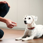 Milk-bone Maro Snacks With Real Bone Marrow Dog Treats