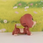 Mini Pet Shop Lps Dachshund Animal Toy Figure For Kid Birthday Collectible Gift