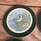 Vintage Bird Coasters Set Of Clover England Cork Back Good Condition