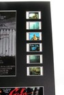 Cujo Stephen King Dog 35mm Movie Film Cell Display 8x10 Presentation Horror New