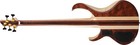 Ibanez Btb1835 Premium Natural Shadow Low Gloss 5-string Bass Guitar   Bag New