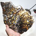 302g Beautiful Sericho Pallasite Meteorite Slice - From Kenya C7848