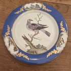 Set 4 Beautiful Chelsea House Royal Blue Parrot Bird Botanical Display Plates
