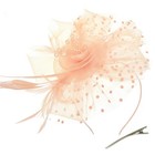 Fascinators Hat Tea Party Headwear Women Flower Mesh Feathers Headband Clip