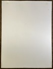 Aly   Aj  2019 Sanctuary Tour    18 X 24    Exclusive Poster  Hard To Find  Rare