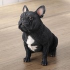 Painted Resin French Bulldog Sitting Animal Figurine Home Decorative Collectible