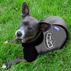 Nba San Antonio Spurs Hoodie T-shirt For Dogs   Cats Cutest Hooded Dog Tee Shirt