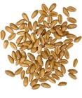 Certified Glyphosate Residue Free Palouse Brand Soft White Wheat Berries 5 Lb