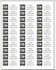 150 Farm Cow Starry Night Art Mailing Return Address Labels Personalized