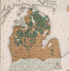 1881 Michigan Map Original Forest Lands Lumber Industry