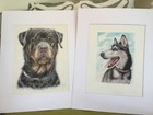 Custom Pet Portrait From Photo  Watercolor Painting  9x12     Realistic
