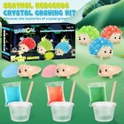 Crystal Growing Kit For Kids 8-12 Stem Science Experiments Lab Toys
