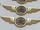 I Fly Alaska Airlines Wings Badge Pin Plastic Pilot Flight Attendant Kids Lot V2