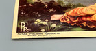 Vintage Indian Lithograph Print Shri Ram Sita Banvas Bombay India 9 75  X 13 75 