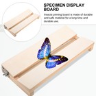  Butterfly Specimen Tool Toddler Child Butterflies Mounting Spreading Board