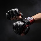 Combat Sports Mma Bag Gloves Leather Large