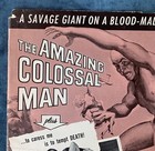 The Amazing Colossal Man   Cat Girl Pressbook  1957  With Inserts