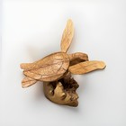 Carved Wood Turtle Figurine Reptile On Driftwood Base  lightweight 