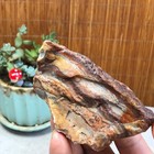 Natural Crazy Mexican Agate Crystal Gemstone Rough Original Specimen 239g A5848