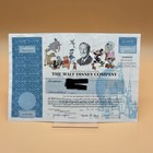 Vintage 1998 Walt Disney Co Stock Certificate 1 Share Framed Authentic Canceled