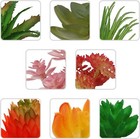 Mini Artificial Succulents Plants Unpotted Faux Cactus Fake Succulent
