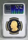 2025  1 Canada Gilt Silver Dollar Proof Ngc Pf69 Tomb Of The Unknown Soldier Fr