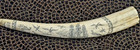 Historic Scrimshaw Walrus Tusk  charles W Morgan  Resin  Reproduction